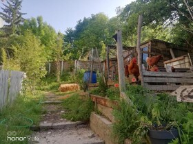 La Cabane Aux Loups