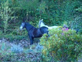 Le Jardin De Saint Jean