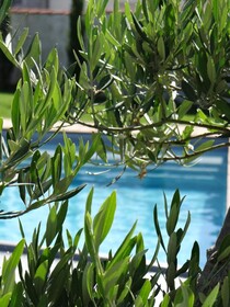 Chambres D'Hotes Les Marguerites