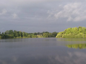 Domaine Des Fréaux