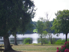 Domaine Des Fréaux