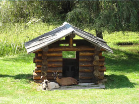 Moulin De La Jarousse - Gîtes Et Chalets