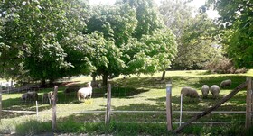 Les Gites De Petrocoriis