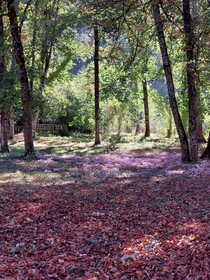 Château D'Argentonesse