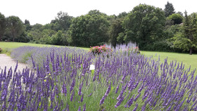 Le Clos Lascazes