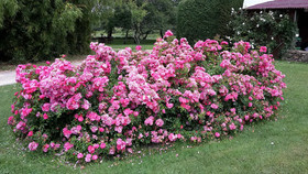 Le Clos Lascazes
