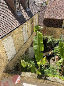 Sarlat Catalina