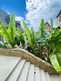 Sarlat Catalina