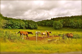 Domaine des Bories