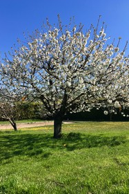 Domaine de Carraire