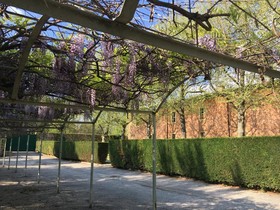 La Bastide du Roy René