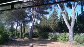La Petite Maison sous les Pins