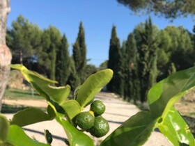 La Soleillade Aixoise