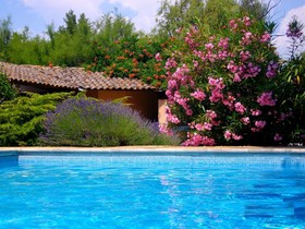 Hostellerie du Moulin de la Roque