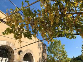 Bastide Casa Mira