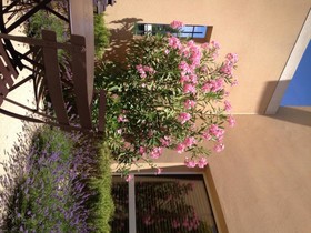 First Inn Hotel