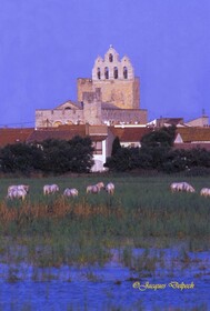 Camping L' Arlesienne