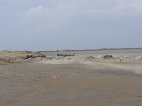 L'Effet Mer