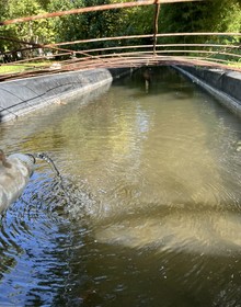 Bastide Beaudinard