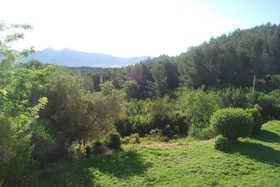 Bastidon
