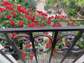 Aux Augustins