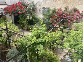 Aux Augustins