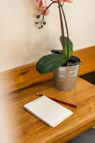 Garlande Hôtel Avignon Centre