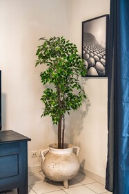 Garlande Hôtel Avignon Centre