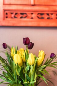 Garlande Hôtel Avignon Centre