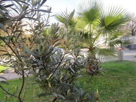 Hotel Kyriad Avignon - Centre Commercial Cap Sud