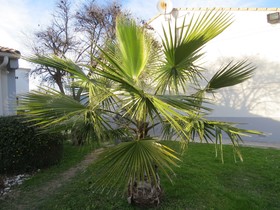 Hotel Kyriad Avignon - Centre Commercial Cap Sud