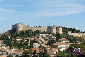Hôtel Mercure Pont d'Avignon Centre