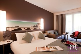 Hôtel Mercure Pont d'Avignon Centre