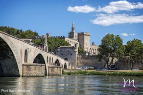Hôtel Mercure Pont d'Avignon Centre