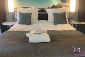 Hôtel Mercure Pont d'Avignon Centre