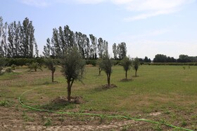 Mas des Cerisiers