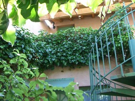 Vert