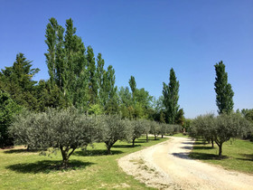 Des Roulottes en Provence