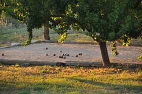 La Couleur des Vignes