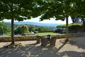 La Couleur des Vignes