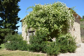 La Couleur des Vignes