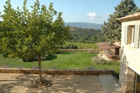 La Couleur des Vignes