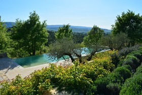 La Couleur des Vignes