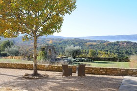 La Couleur des Vignes