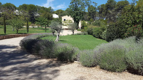 Campagne Petite Mère