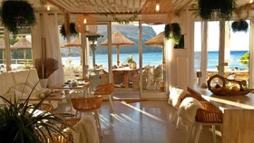 De La Plage Mahogany