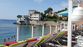 De La Plage Mahogany