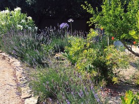 Les Petits Gardons