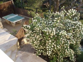 Il Girasole Cavaillon