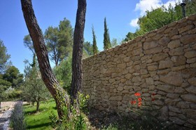 Il Girasole Cavaillon